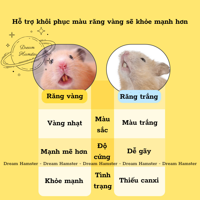 Mài răng ngũ cốc Yee cho hamster, rat, đuôi mập, sóc, nhím,...