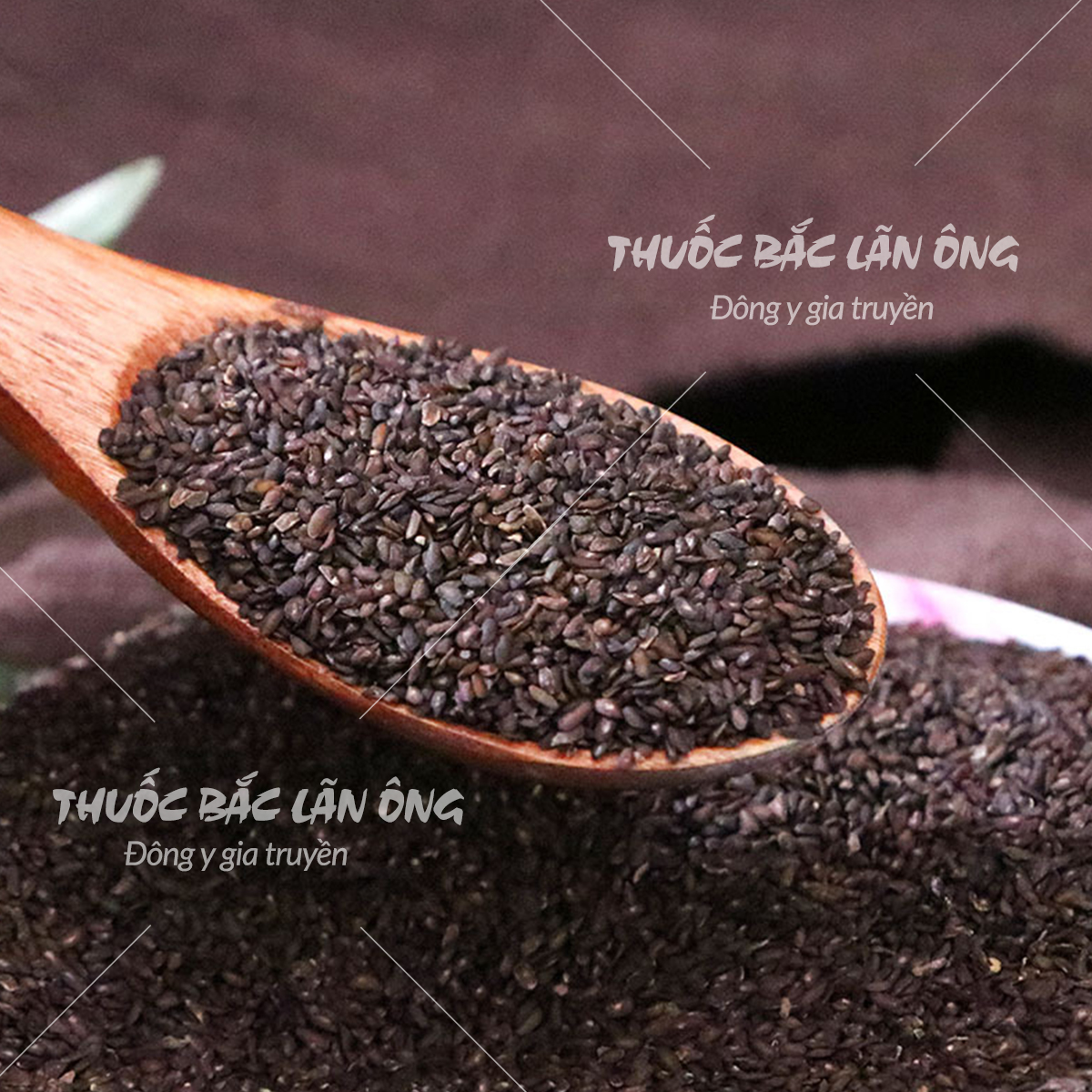 Xa tiền tử khô 100g (Hạt mã đề) - Lãn Ông