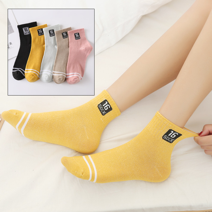 Set 5 Đôi Tất Vớ Nữ Cao Cổ MS.16 Siêu Hot