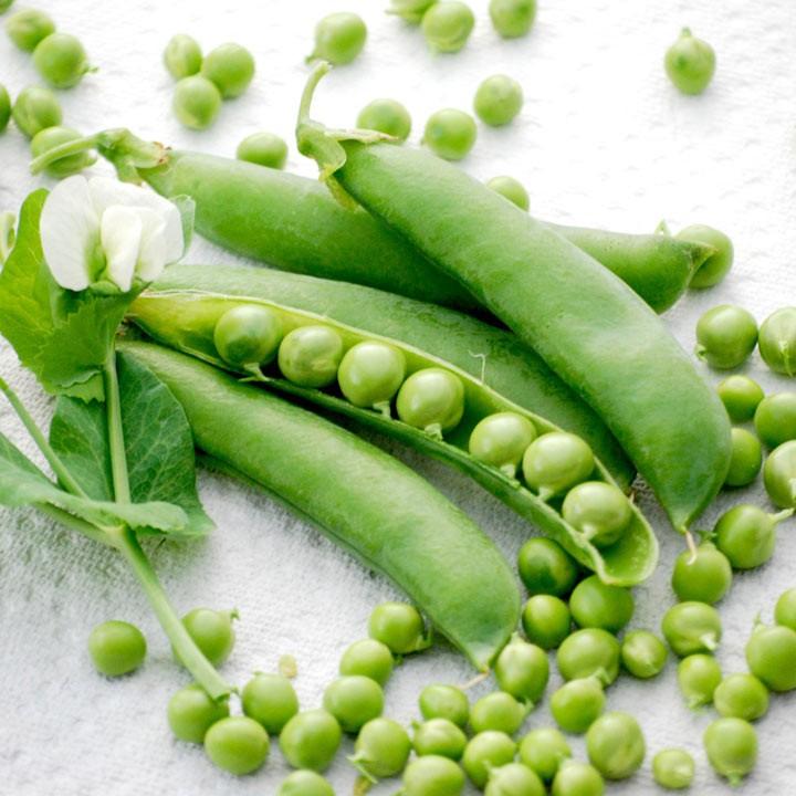 Hạt Giống Đậu Hà Lan (Lấy hạt) - 20Gr