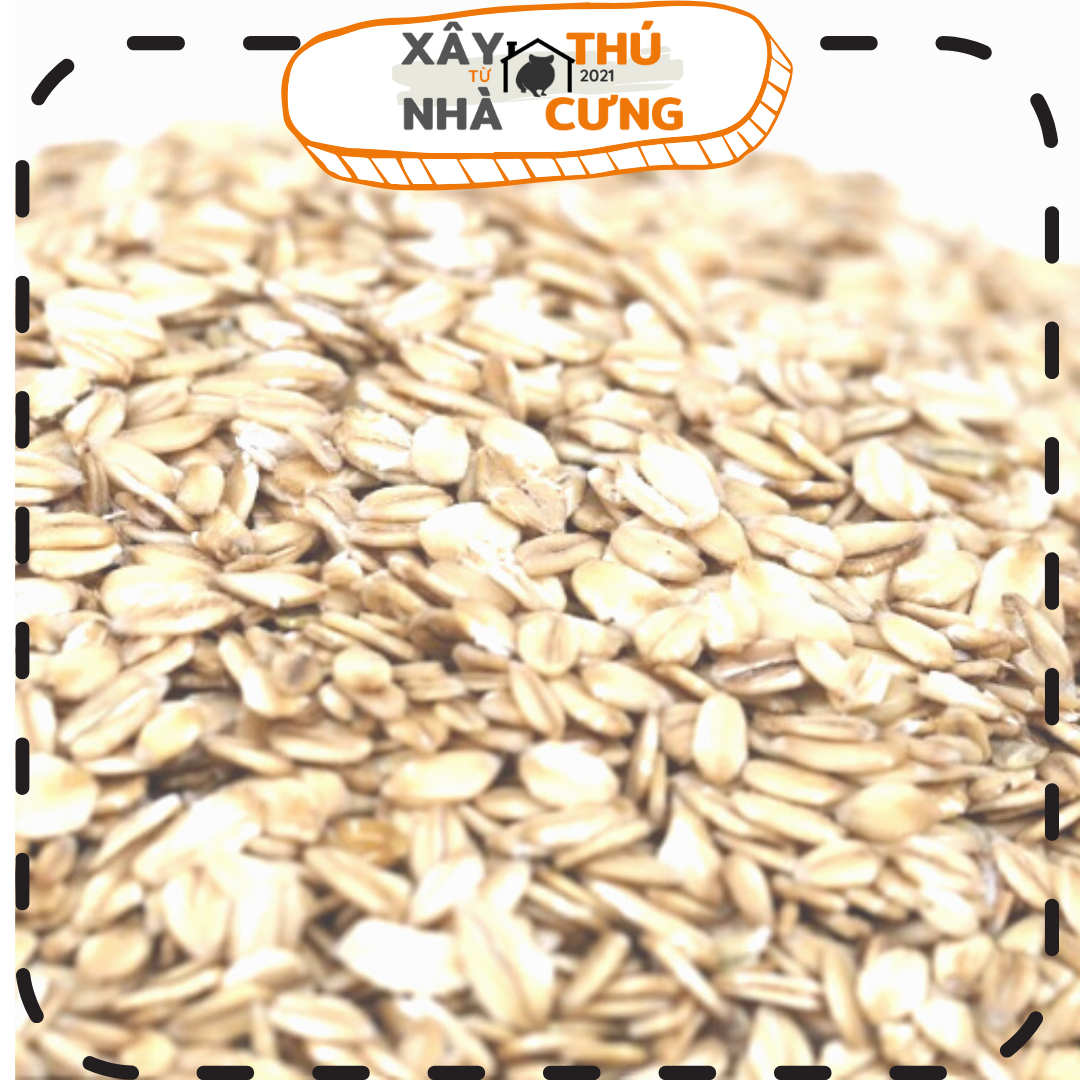 Thức ăn hamster yến sữa 70 gram