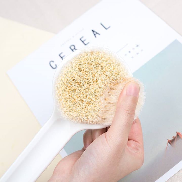 Cọ lưng Muji Xuất Nhật - Full Hộp