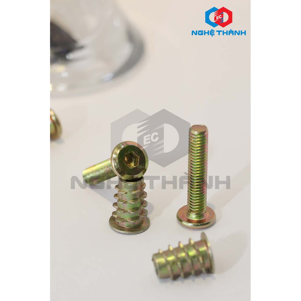 Ốc cấy gỗ ( dùng với bù lon) hiệu EC [HCM]
