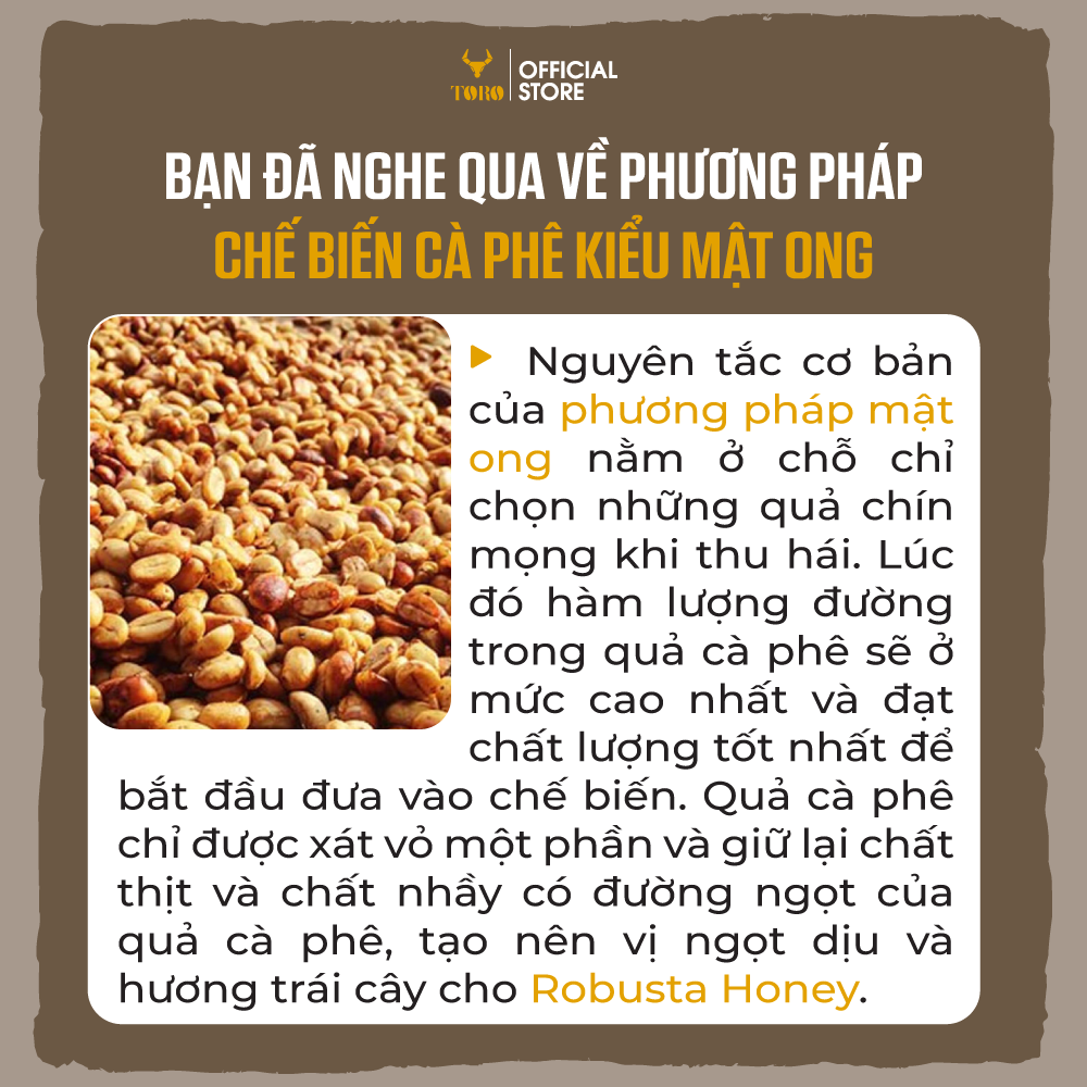 [250GR] Cà Phê Bột Toro Robusta Honey Nguyên Chất 100% | TORO FARM