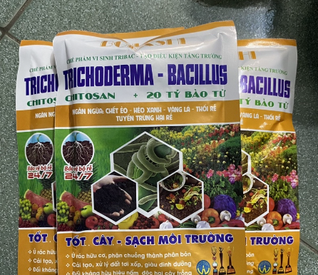 Chế phẩm men vi sinh nấm đối kháng trichoderma bacillus