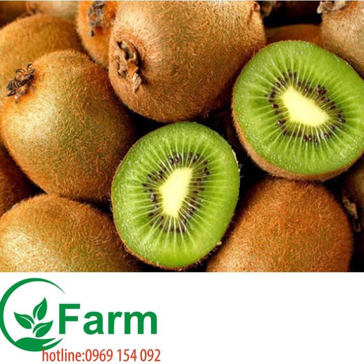 [FREESHIP - Xả Khô Máu] combo 2 cây kiwi