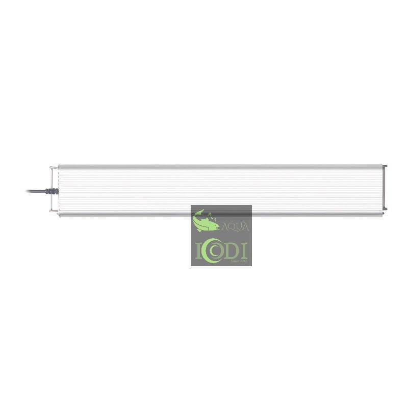 Đèn bể cá WYIN ZRDR LED-60