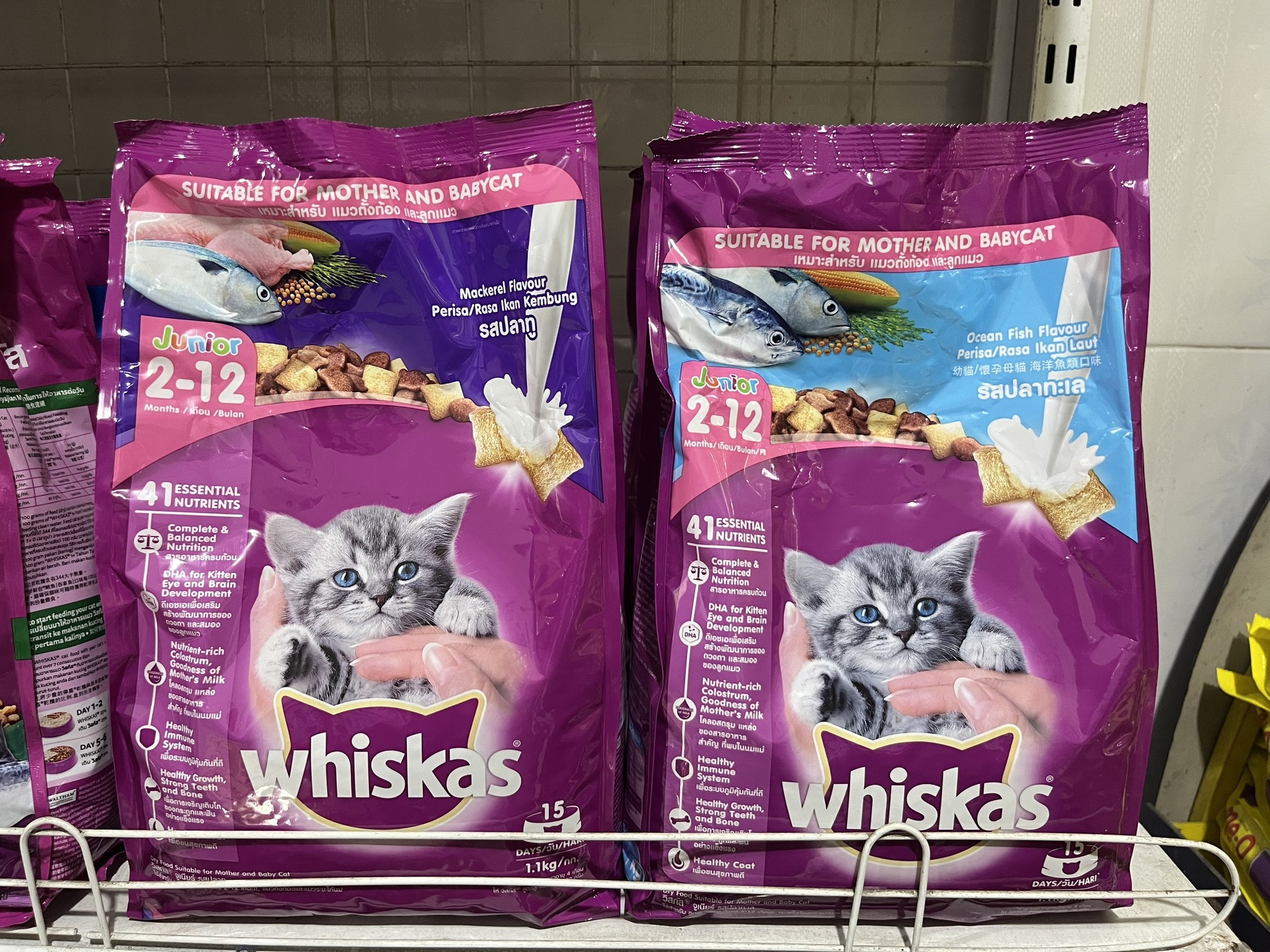 Whiskas Junior Thức ăn hạt cho mèo con gói 1,1kg