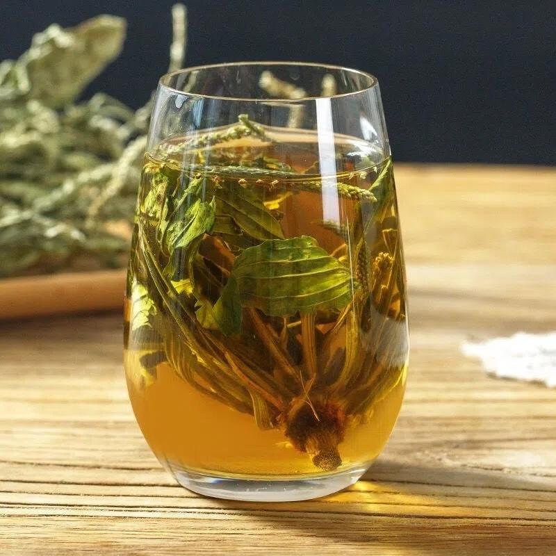 Cây mã đề khô túi lớn loại 1kg, Trà cây mã đề khô - Hàng công ty chất lượng cao - Hỗ trợ thanh nhiệt và giải độc - Thảo Dược Tấn Phát