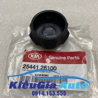 Nắp bình nước phụ Hyundai Verna 2006-2010