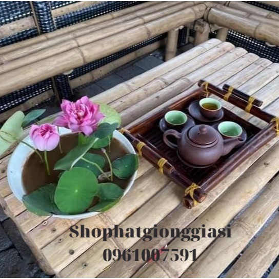 (Đã Cắt Đầu) Combo 10 Hạt Sen Mini Full Màu