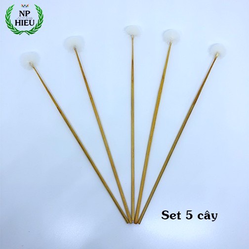 Bông se tai 5 cây