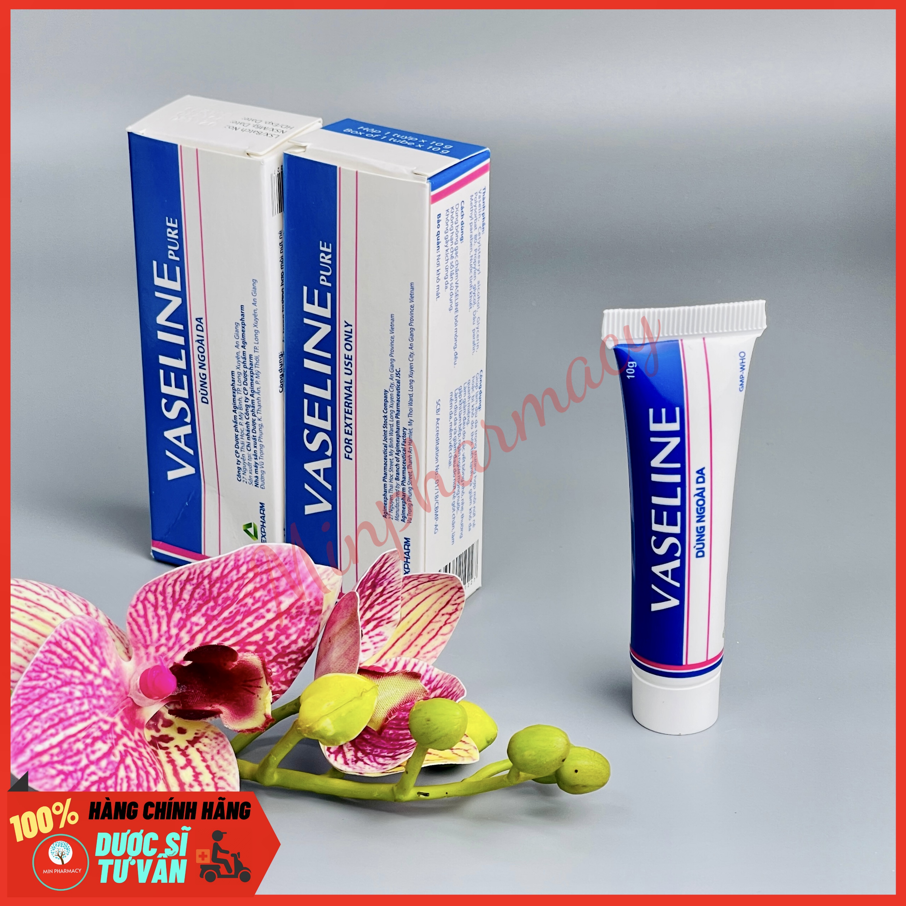 Kem dưỡng ẩm VASELINE Pure Agimexpharm (Tuýp 10g) - Minpharmacy