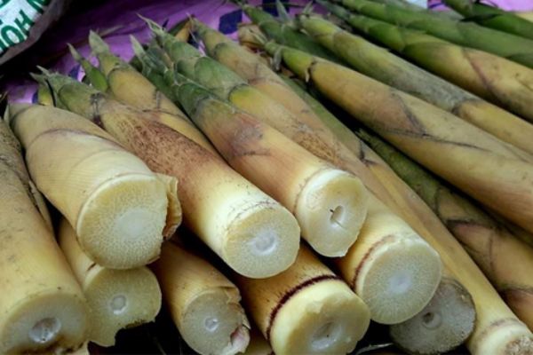 Măng trúc to (200g măng/1 bịch)