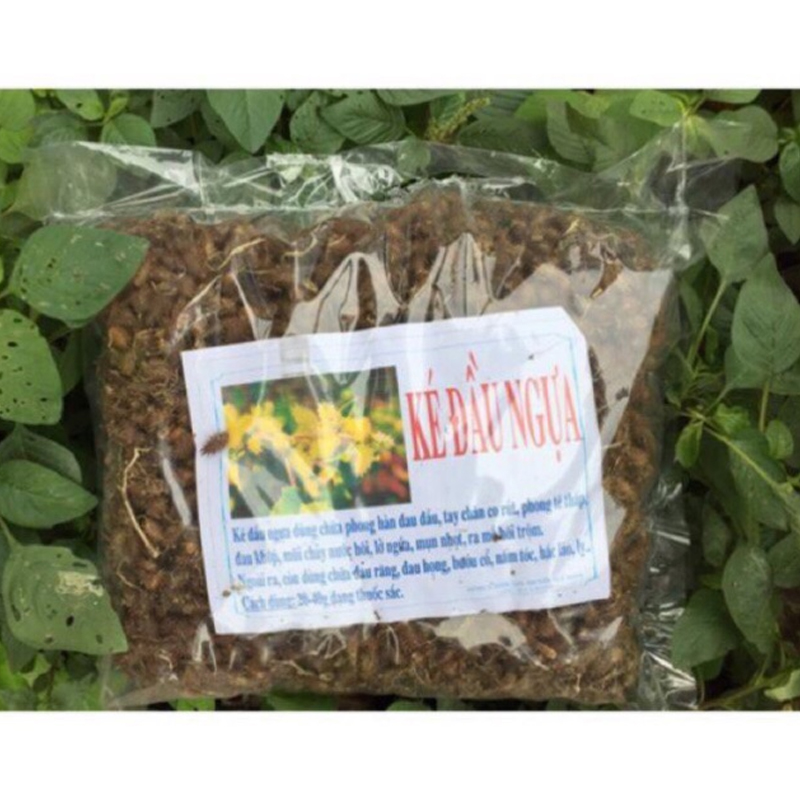 Quả ké đầu ngựa khô (1KG) - DB172