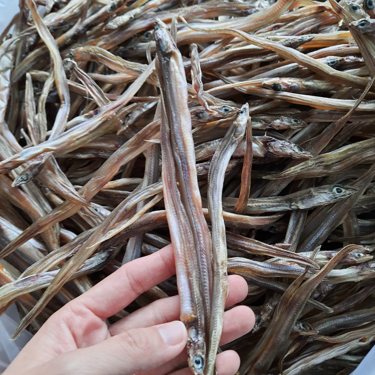 khô cá lãi,(sụn sịn)cá biển phơi bờ gói 500gr