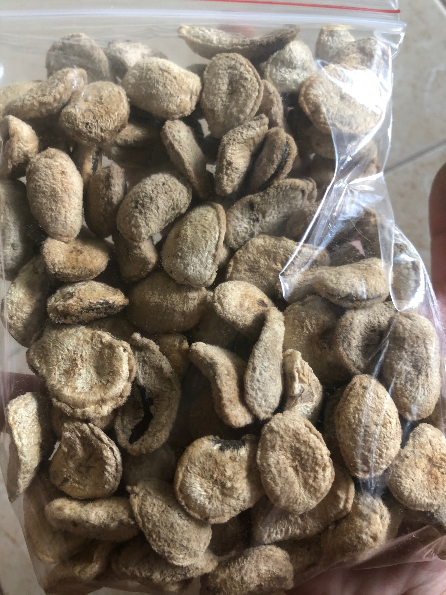 Hạt sành( sang) rừng 10k/1 hạt