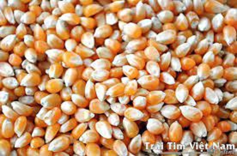 1kg bắp nổ rang bơ