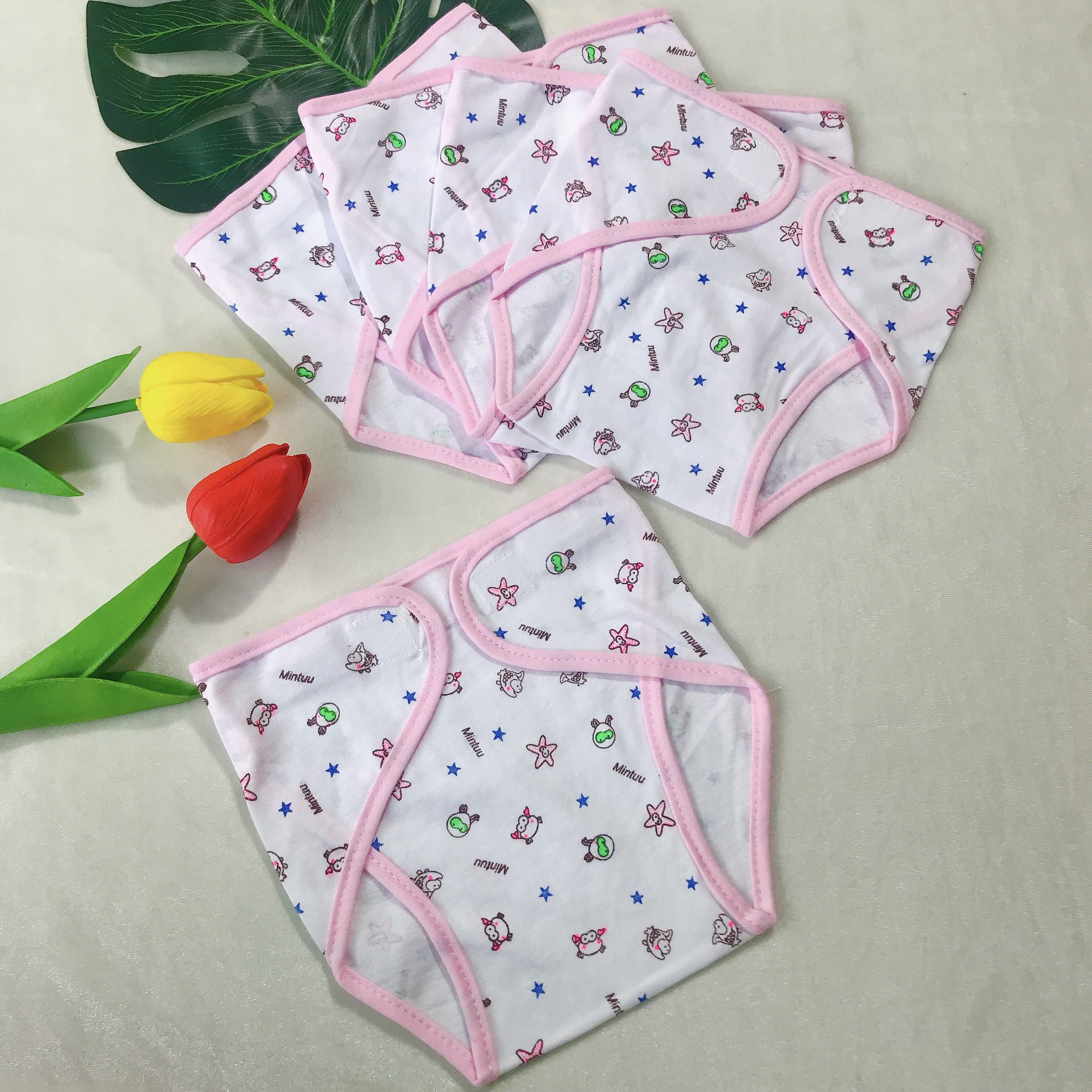 Set 5 Tã Vải Dán /Tã Quần Đóng Bỉm Sơ Sinh Mintuu (3-9kg)