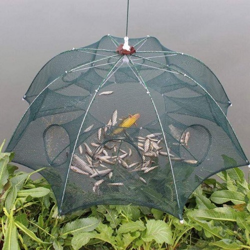 Lưới bát quái bắt cá loại 8 lỗ.