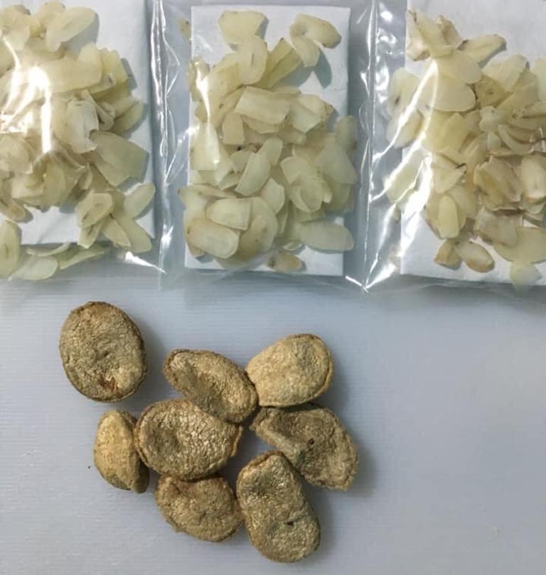 Hạt sành chữa đau dạ dày (10 hạt) - Thảo Dược Tấn Phát