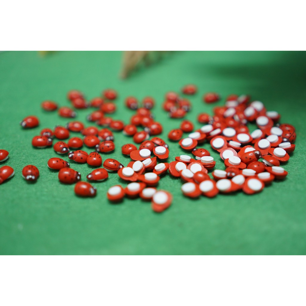 [HCM]Mô Hình Bọ Dừa Ladybug Trang Trí Tiểu Cảnh Miniature [1 cái ]
