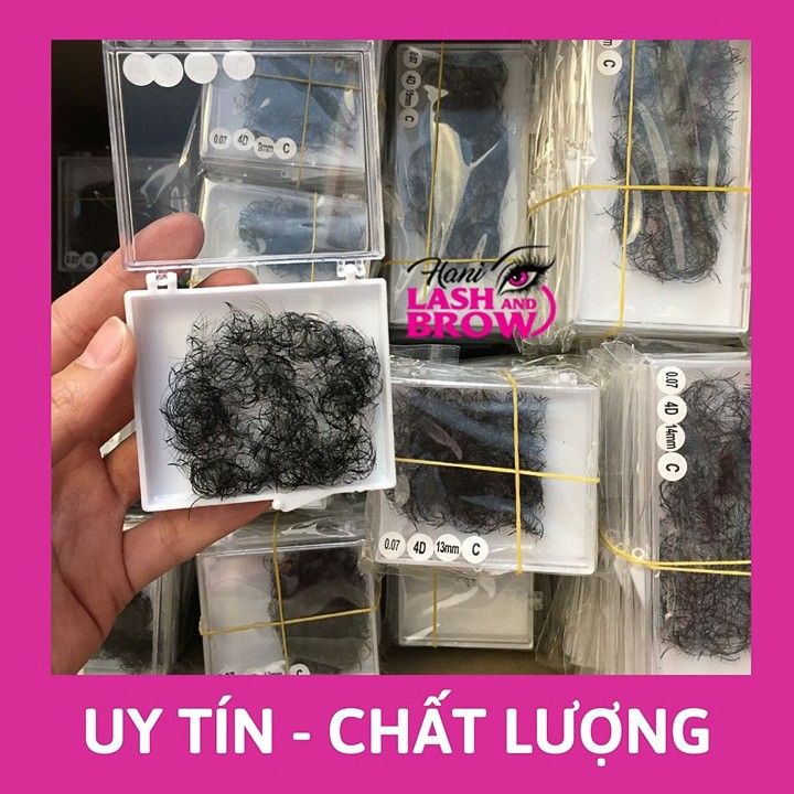Lông Mi Fan Tay Sẵn 4D - Hani Beauty
