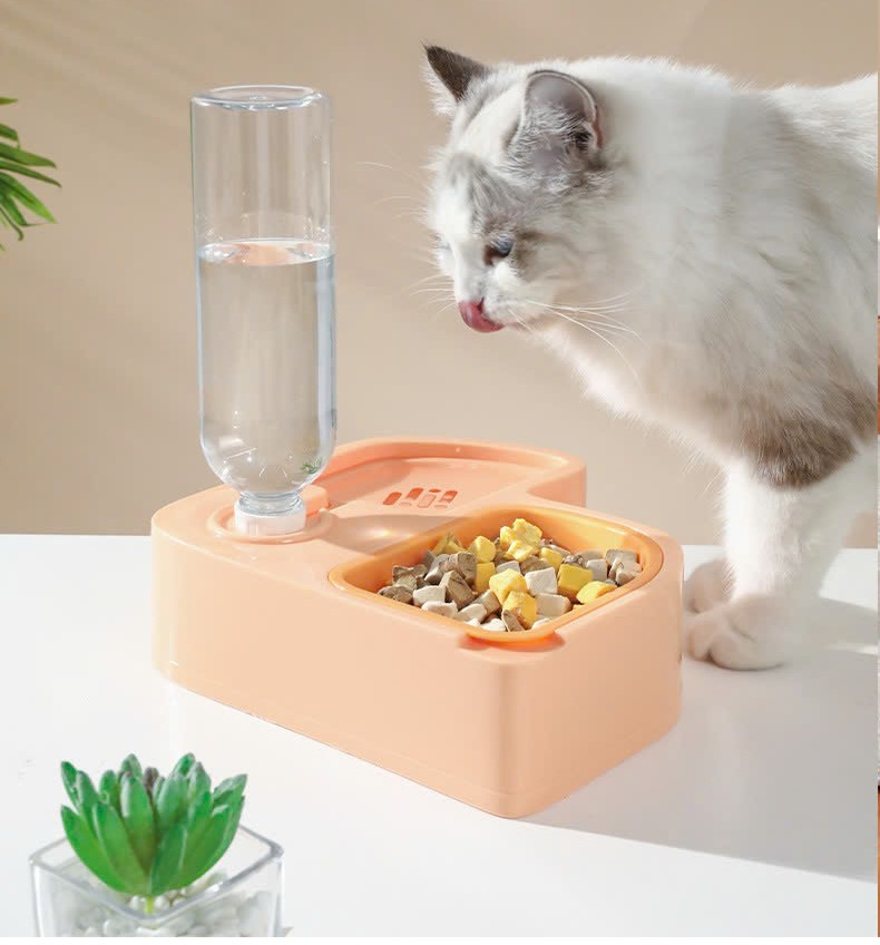 Food Bowl with 500ml Water Bottle for Dogs and Cats - T3 Pets Shop