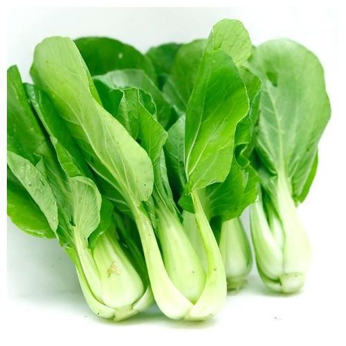Hạt giống cải thìa bẹ trắng - 1 gói 20gram