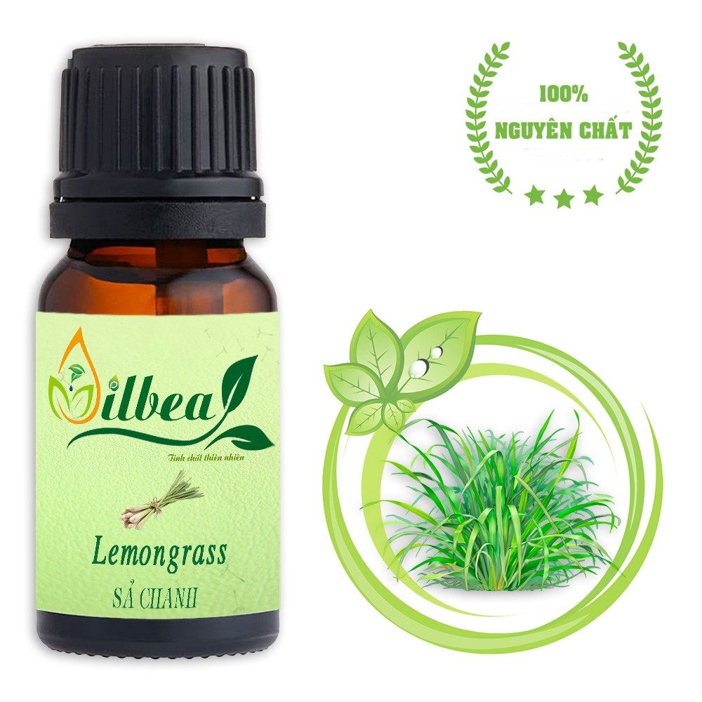 Combo 3 lọ tinh dầu: bạc hà, sả chanh, vỏ quế 10ml
