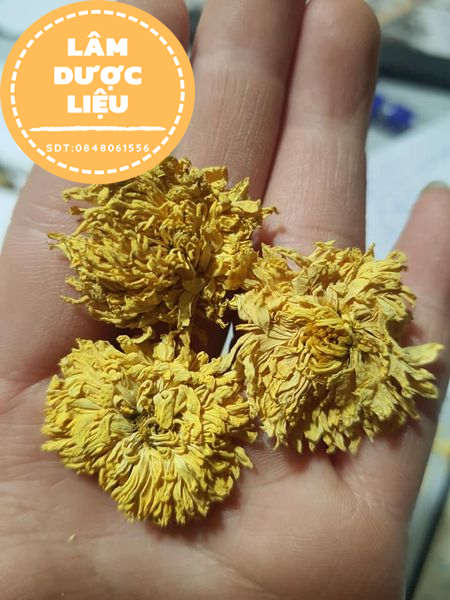 [HÀNG LOẠI 1] 100g Trà Hoa Cúc Vàng Sấy Khô