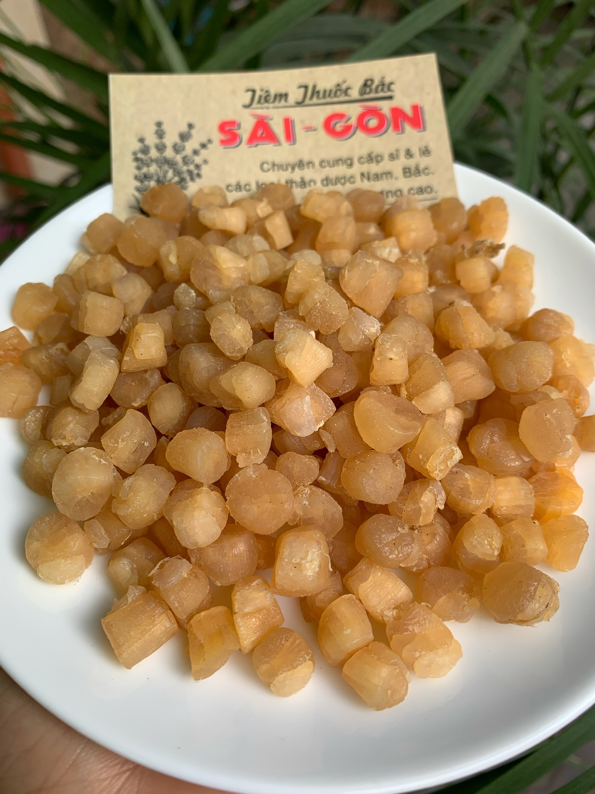 cồi sò điệp-100gram