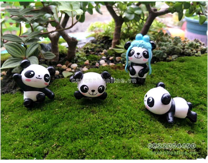 Gấu trúc panda tinh nghịch