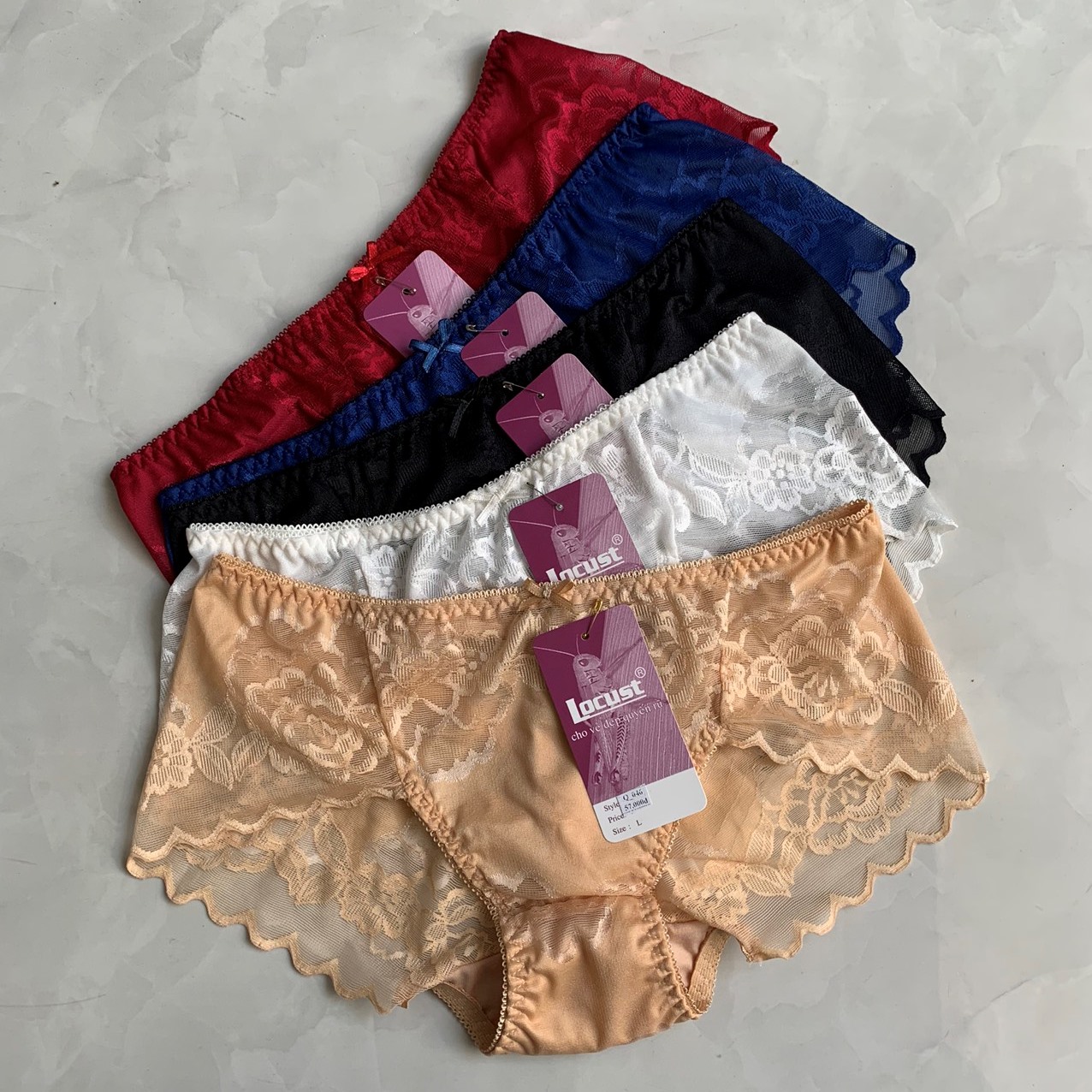 Combo 5 Quần Lót Nữ Bông Ép Cao Cấp Locust 046 – Đẹp Sang, Tôn Dáng (M–XXL)