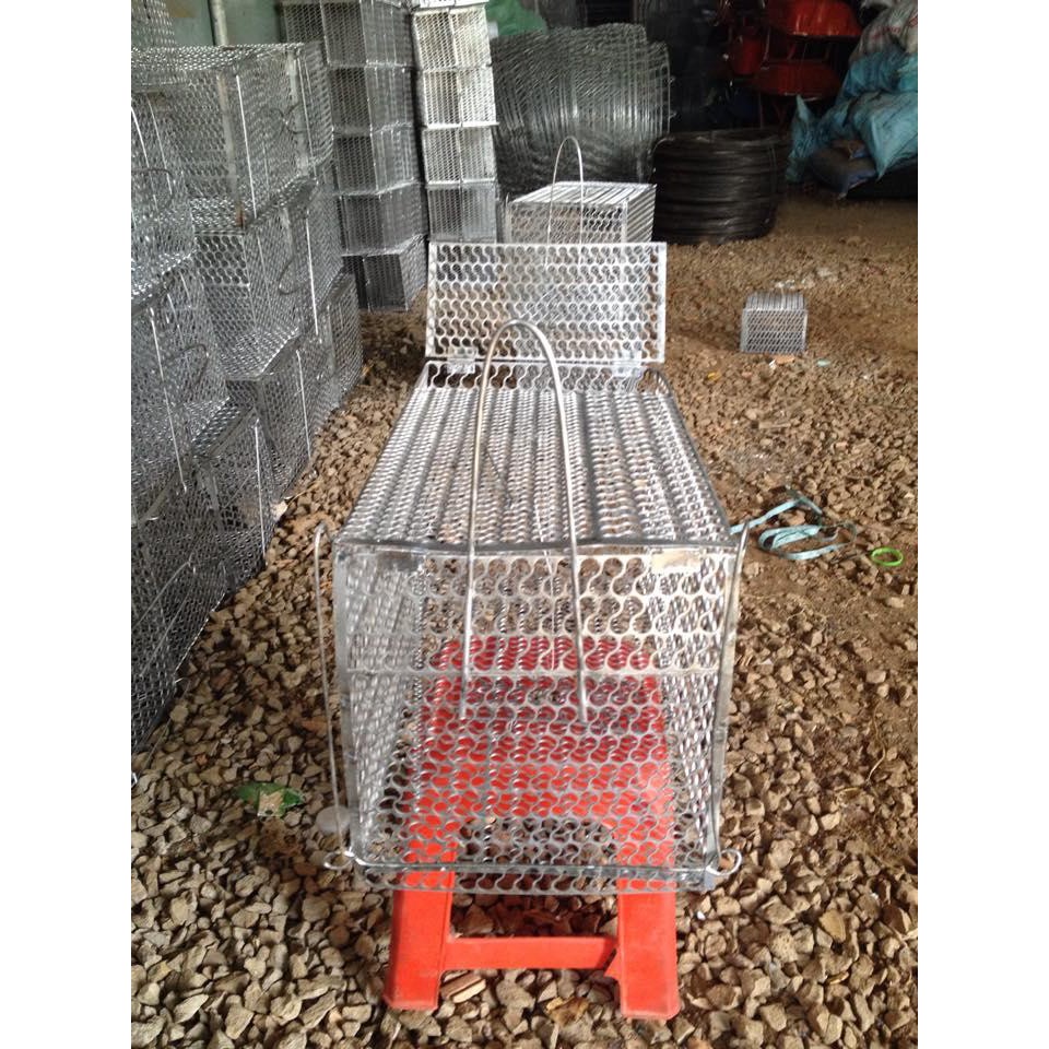 Bầy lồng chuột sắt
