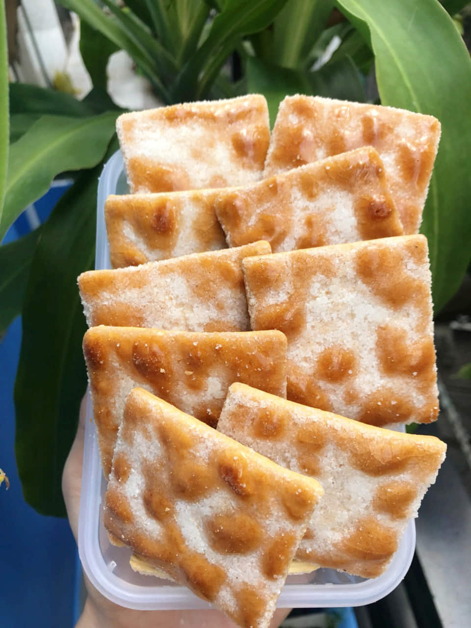 Bánh Lạt Đường - Tuổi Thơ 100G