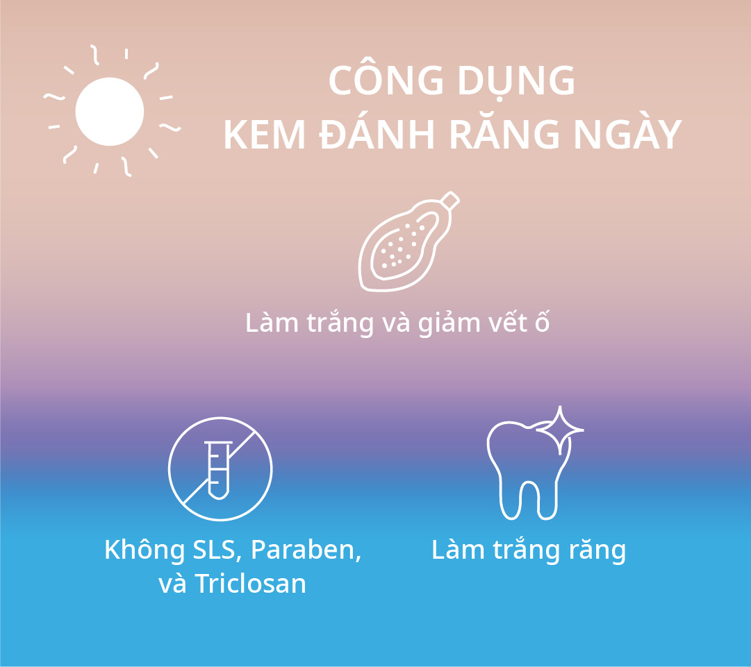 [Kem đêm HSD 9/2025] Kem Đánh Răng Zenyum Fresh Ngày/Đêm (100mL)