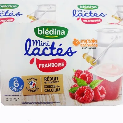 Sữa chua Bledina mini 6*60g vị mâm xôi cho trẻ từ 6m - Pháp date T12.2021