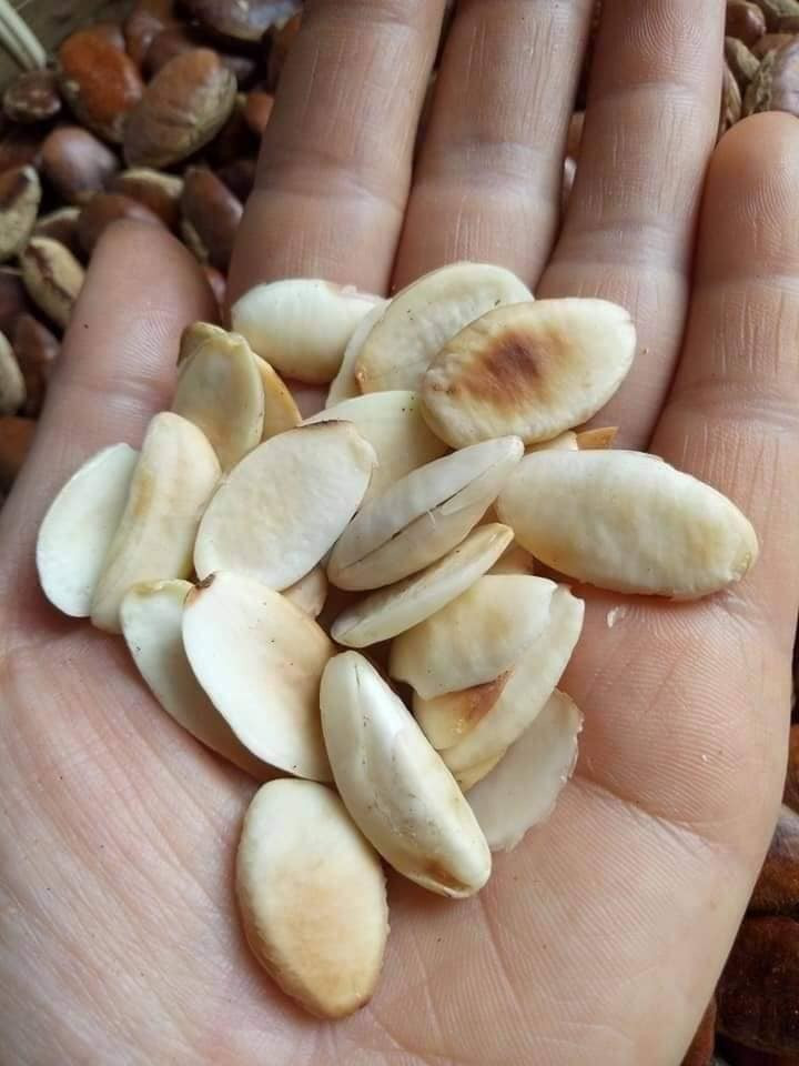 500G HẠT KƠ NIA ĐÃ TÁCH VỎ