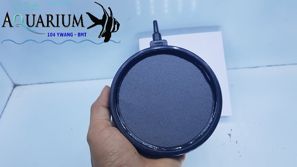 Bánh sủi oxi hàng Đài Loan B022