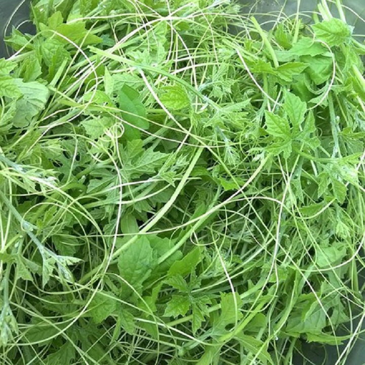 Dây - lá khổ qua rừng khô 500g