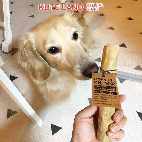 Xương Chó Thanh Gỗ Cà Phê Tự Nhiên Cho Chó Mèo Chơi Nhai Gặm Coffe Wood For Dog Chew Bán Chạy Tại Hàn Quốc Xương Gặm Cho Chó