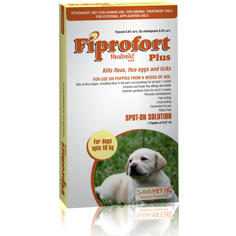 Nhỏ gáy Fiprofort Plus diệt ve, chấy rận cho chó (hộp 3 tuýp)
