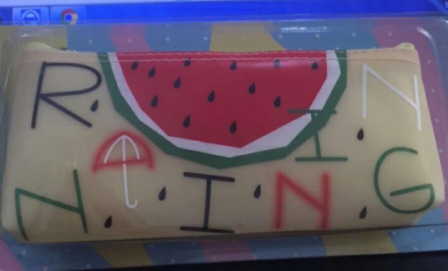 Túi bút silicon trái cây
