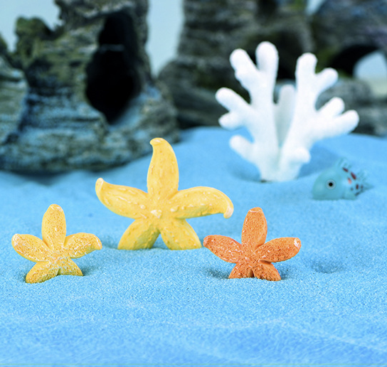 Sao biển trang trí bể cá - tiểu cảnh bãi biển bờ sông giao màu ngẫu nhiên