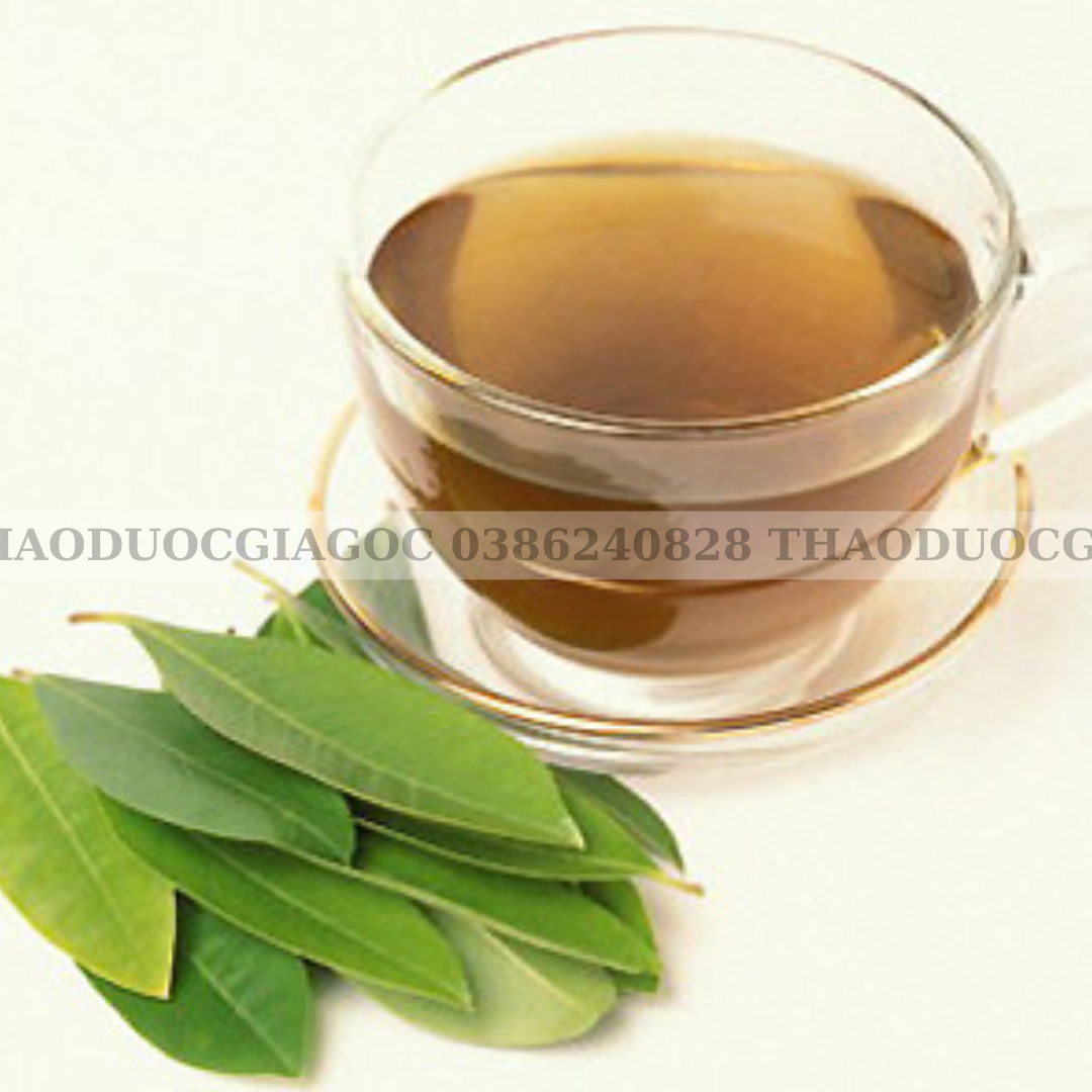 1kg dây thìa canh xanh sạch đẹp.