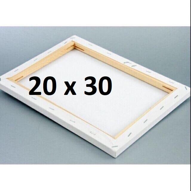 Combo 10 toan vẽ tranh 20x30 cm căng sẵn
