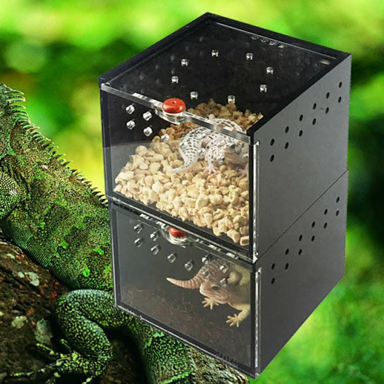 Hộp nuôi nhện bọ cạp bò sát nhỏ