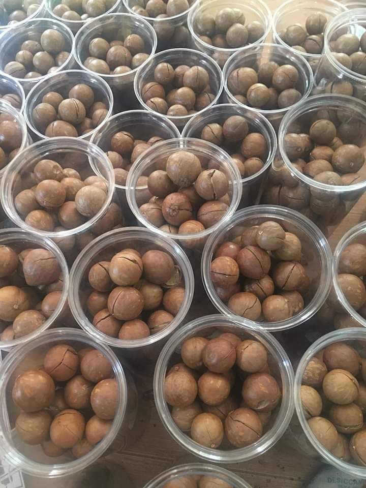 1kg Macca nứt vỏ ( Sản phẩm Ocop 3 sao) Diepphuong Farm