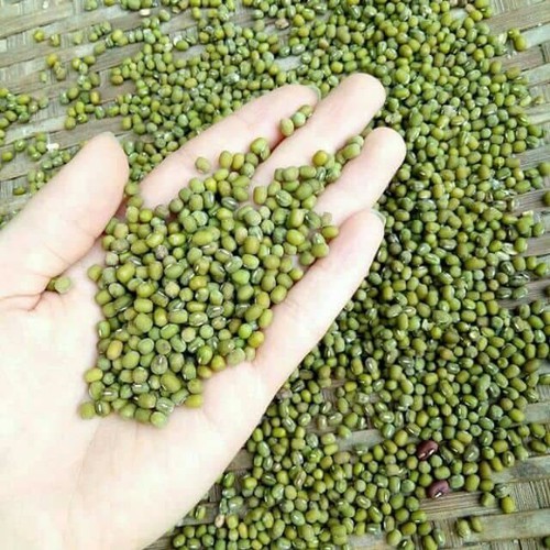 1kg Đậu Xanh Quê Nguyên Hạt  tây ninh